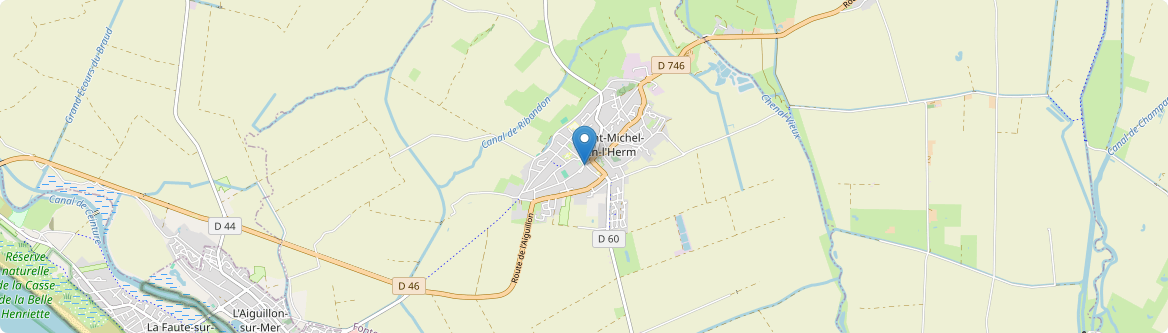 Saint-Michel-en-l'Herm - Carte