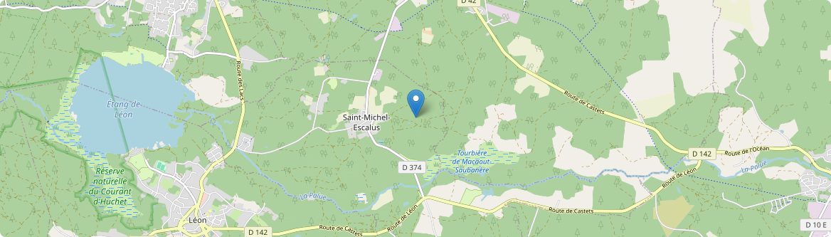 Saint-Michel-Escalus - Carte