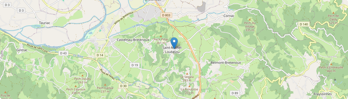 Saint-Michel-Loubéjou - Carte