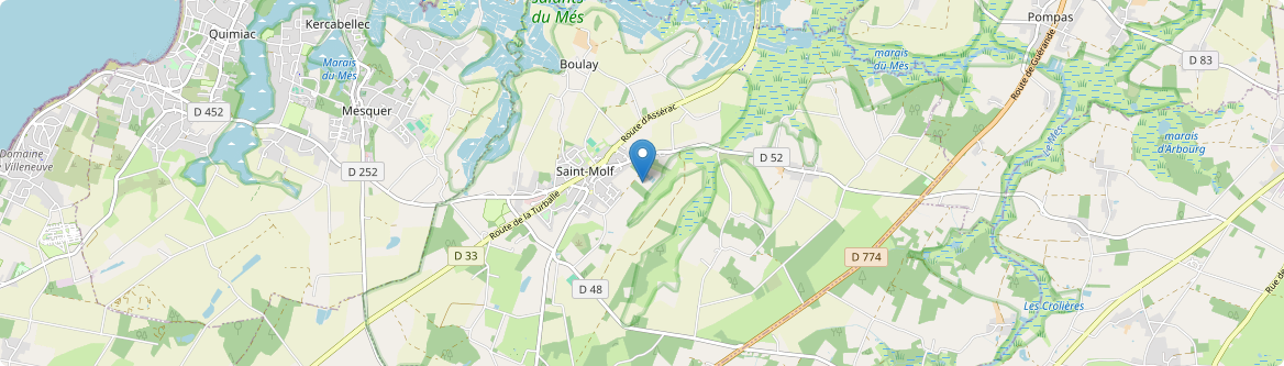Saint-Molf - Carte