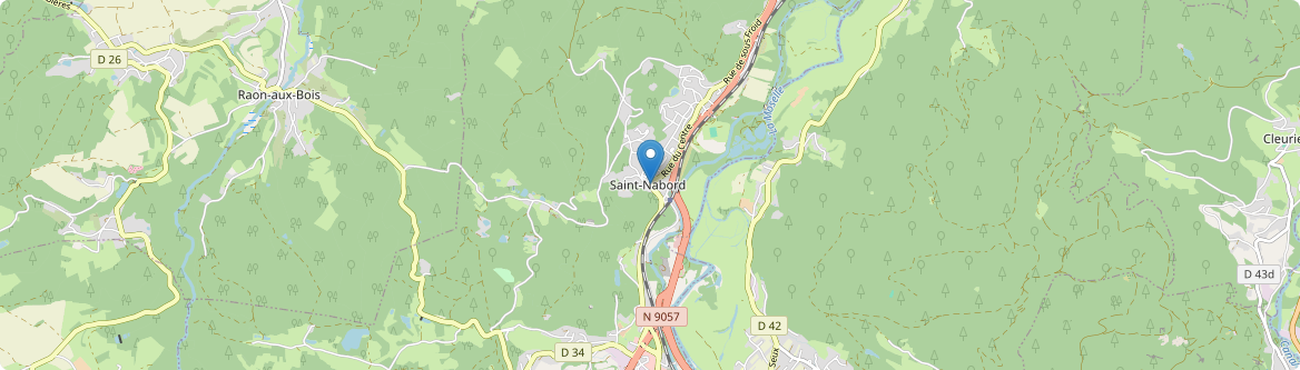 Saint-Nabord - Carte