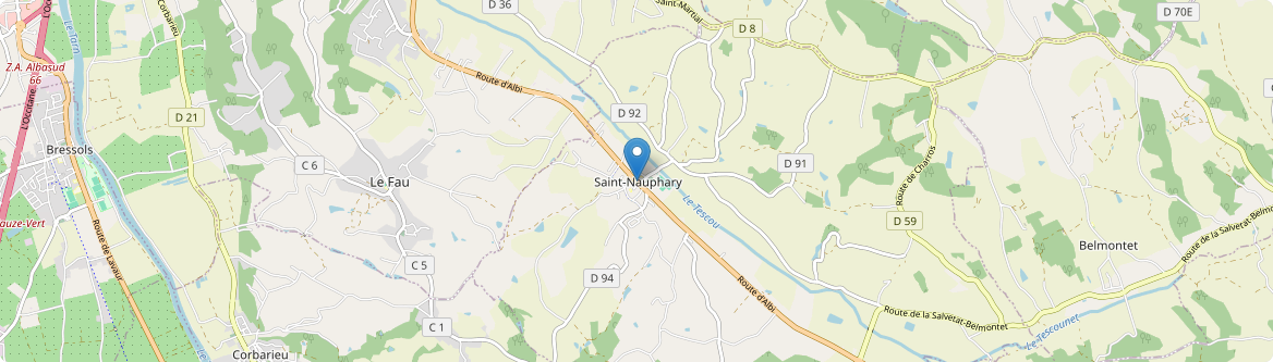 Saint-Nauphary - Carte