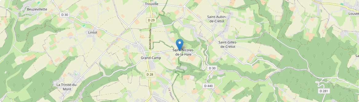 Saint-Nicolas-de-la-Haie - Carte