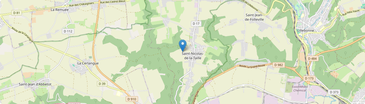 Saint-Nicolas-de-la-Taille - Carte