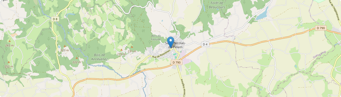 Saint-Nicolas-du-Pélem - Carte