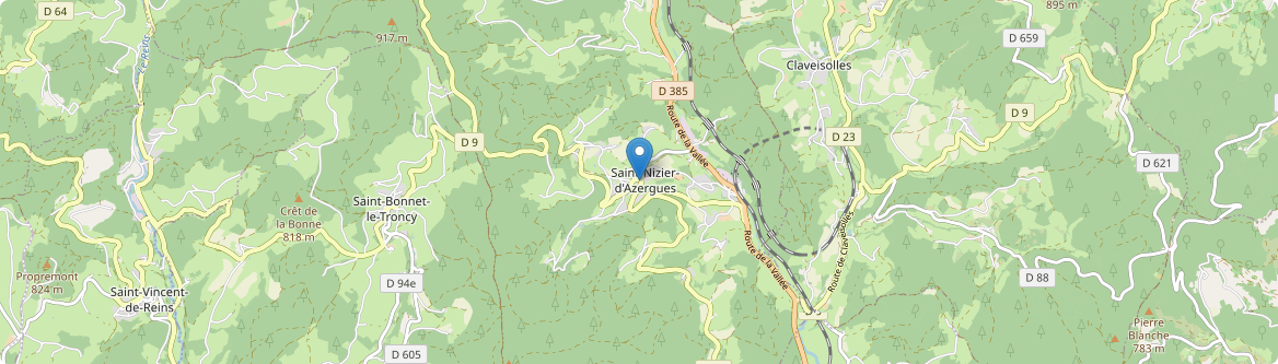 Saint-Nizier-d'Azergues - Carte