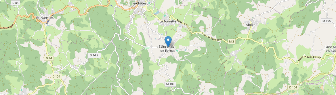 Saint-Nizier-de-Fornas - Carte