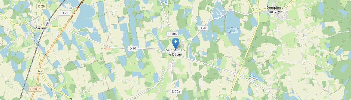 Saint-Nizier-le-Désert - Carte