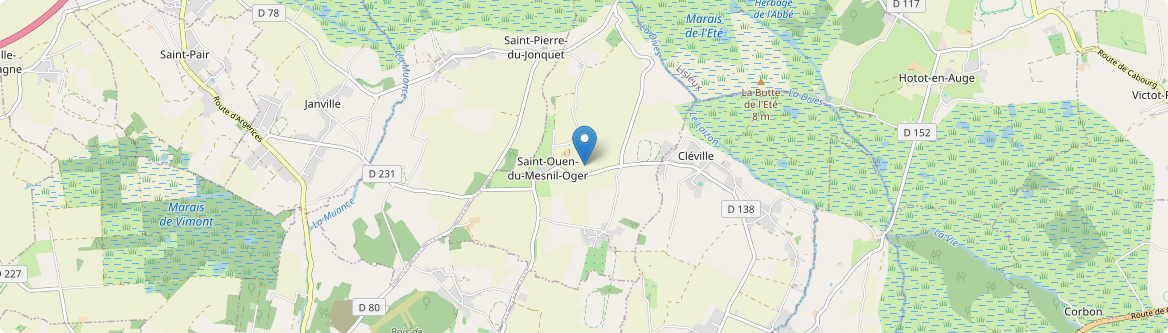 Saint-Ouen-du-Mesnil-Oger - Carte