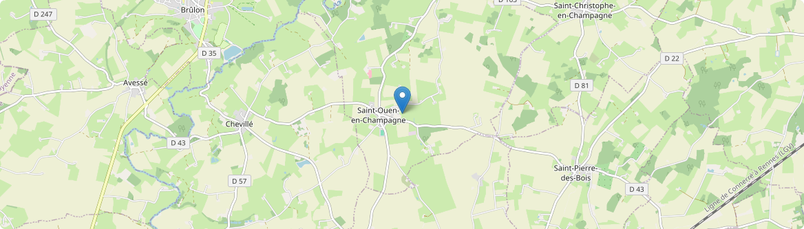 Saint-Ouen-en-Champagne - Carte