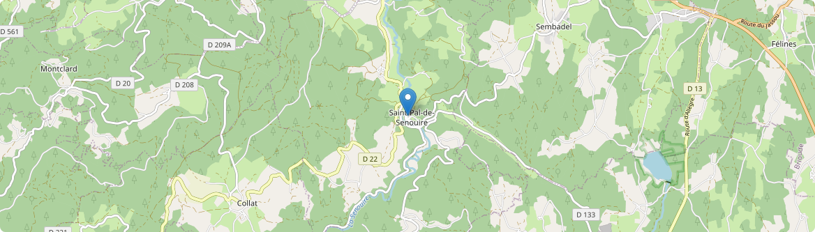 Saint-Pal-de-Senouire - Carte