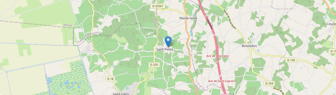 Saint-Palais - Carte