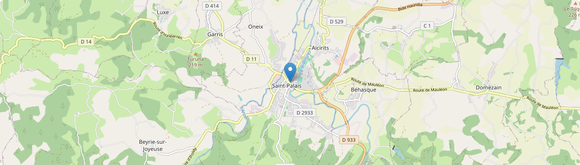 Saint-Palais - Carte