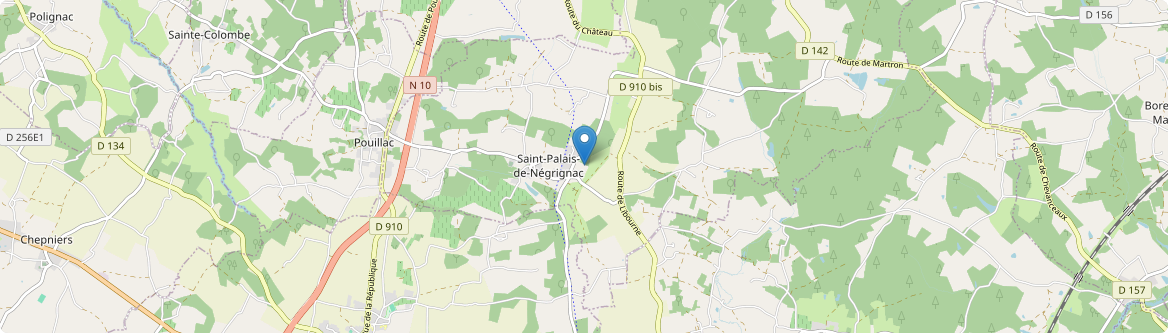 Saint-Palais-de-Négrignac - Carte
