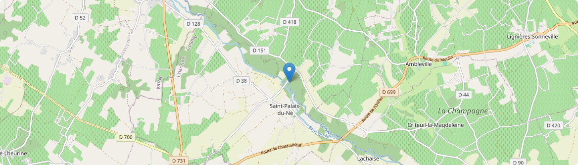 Saint-Palais-du-Né - Carte