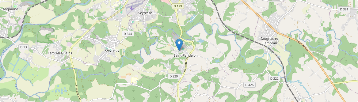 Saint-Pandelon - Carte