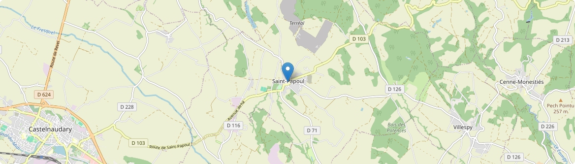 Saint-Papoul - Carte