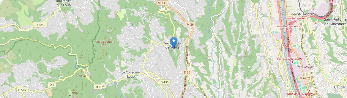 Saint-Paul-de-Vence - Carte