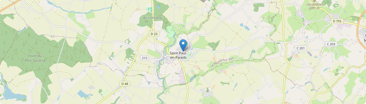 Saint-Paul-en-Pareds - Carte