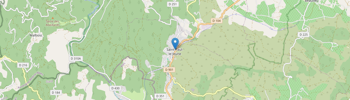 Saint-Paul-le-Jeune - Carte