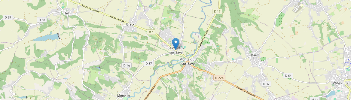 Saint-Paul-sur-Save - Carte