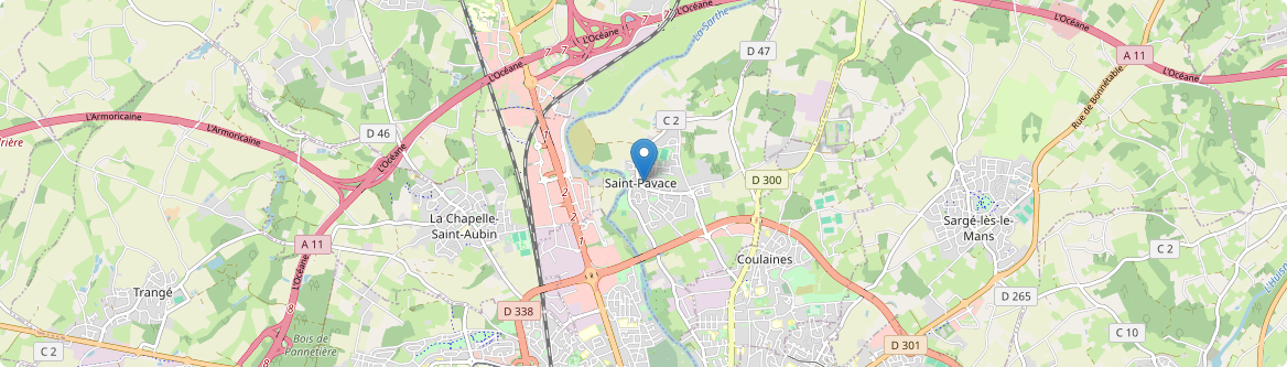 Saint-Pavace - Carte
