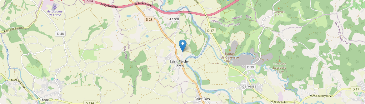 Saint-Pé-de-Léren - Carte