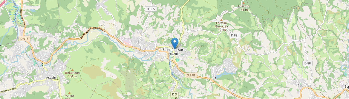 Saint-Pée-sur-Nivelle - Carte