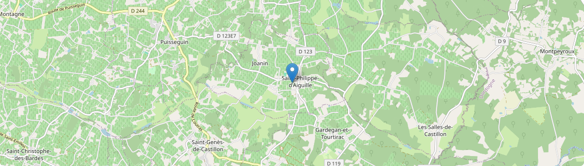 Saint-Philippe-d'Aiguille - Carte