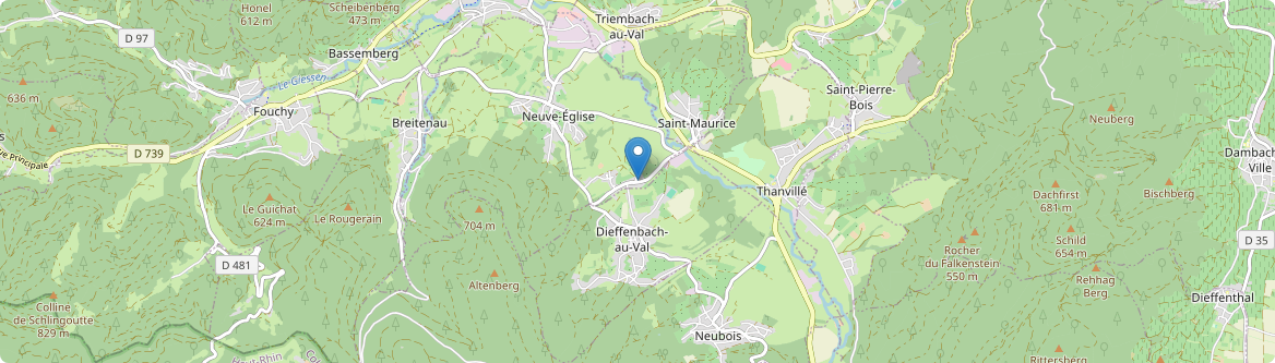 Saint-Pierre-Bois - Carte