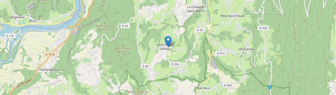Saint-Pierre-d'Alvey - Carte