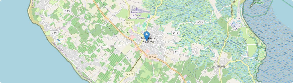 Saint-Pierre-d'Oléron - Carte