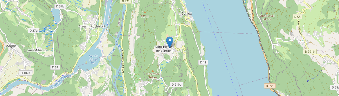 Saint-Pierre-de-Curtille - Carte