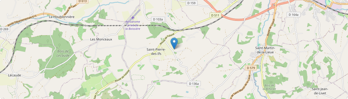 Saint-Pierre-des-Ifs - Carte