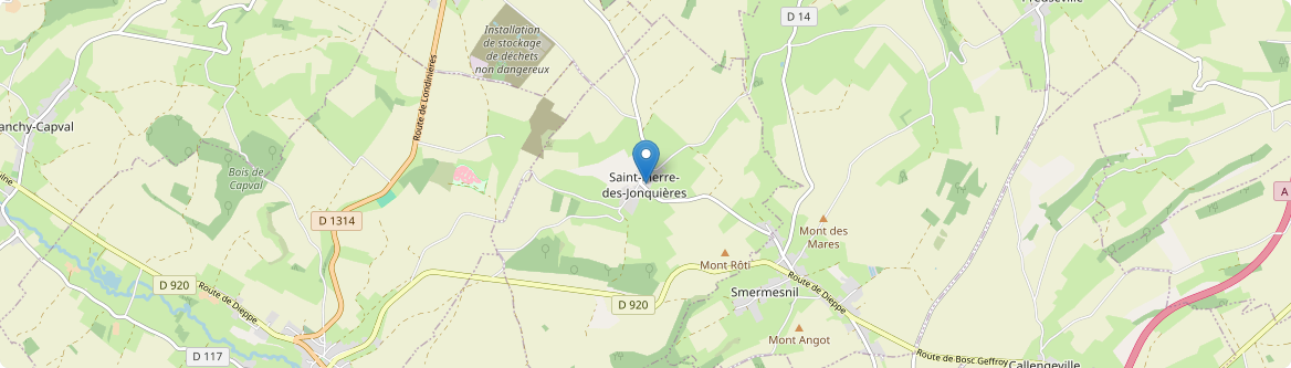 Saint-Pierre-des-Jonquières - Carte