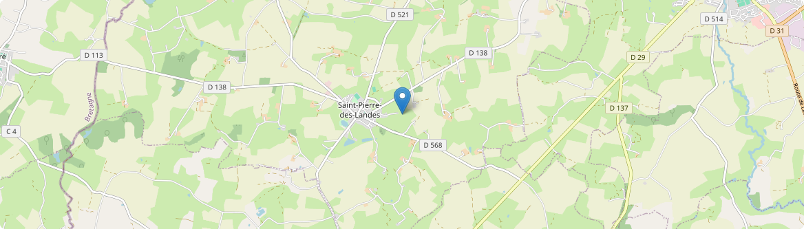 Saint-Pierre-des-Landes - Carte