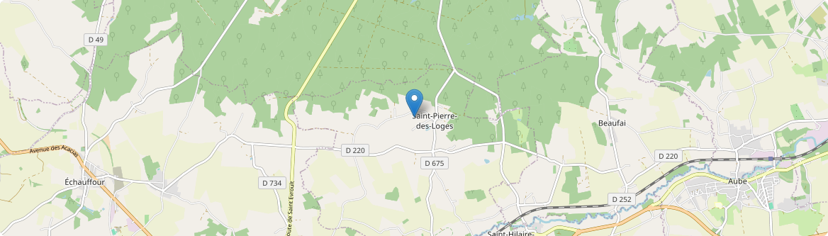 Saint-Pierre-des-Loges - Carte