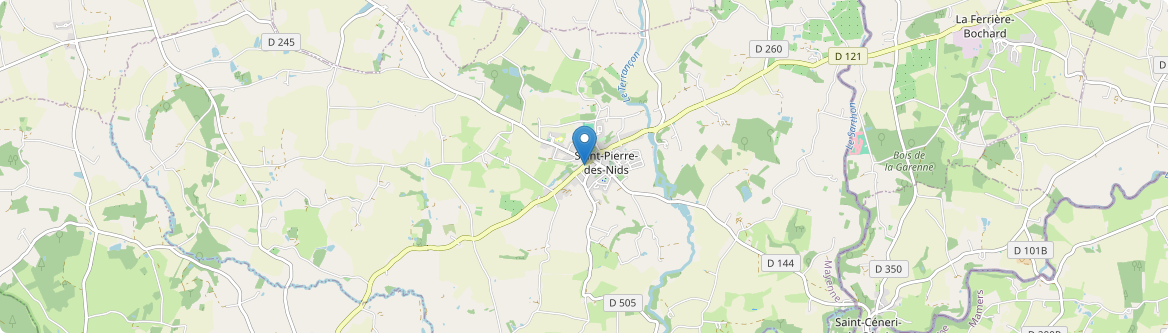 Saint-Pierre-des-Nids - Carte