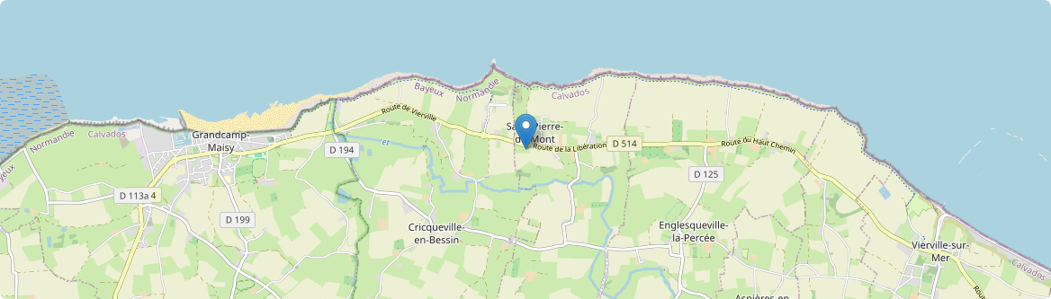 Saint-Pierre-du-Mont - Carte