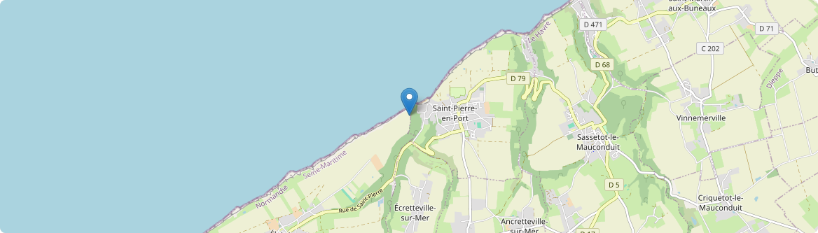 Saint-Pierre-en-Port - Carte