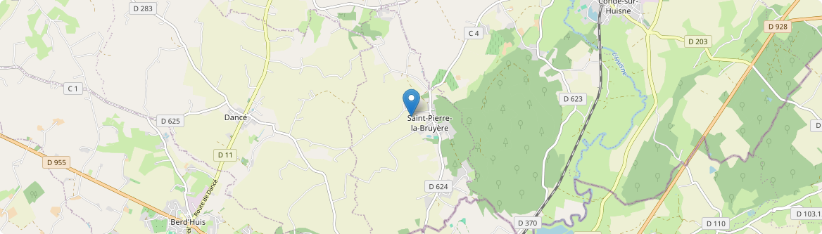 Saint-Pierre-la-Bruyère - Carte