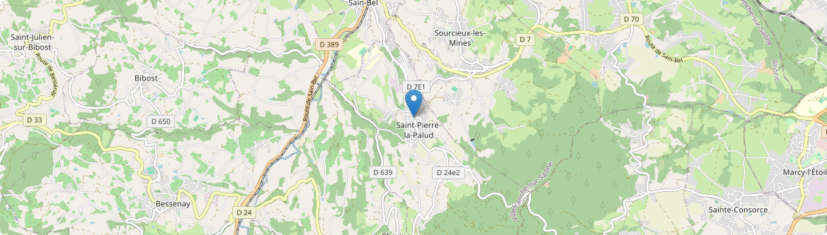 Saint-Pierre-la-Palud - Carte