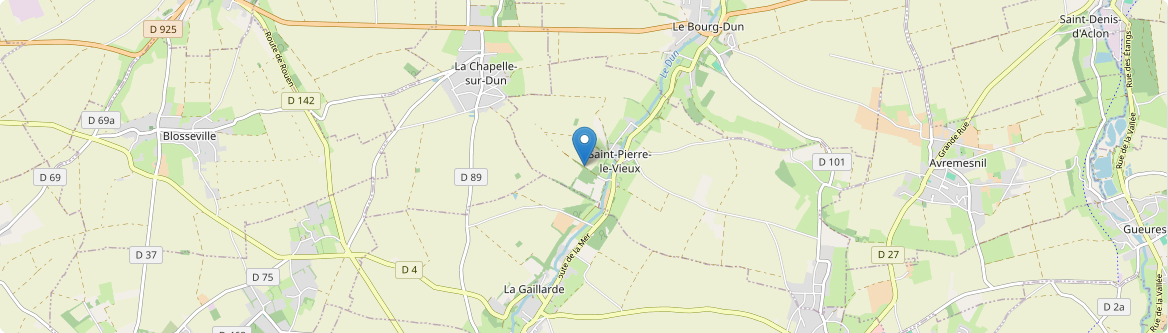 Saint-Pierre-le-Vieux - Carte