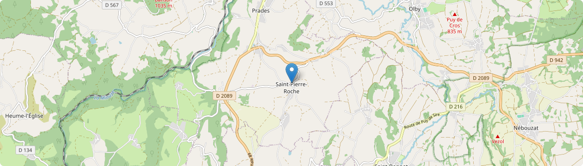Saint-Pierre-Roche - Carte