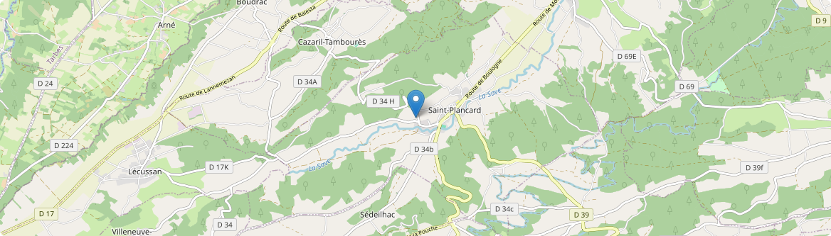 Saint-Plancard - Carte