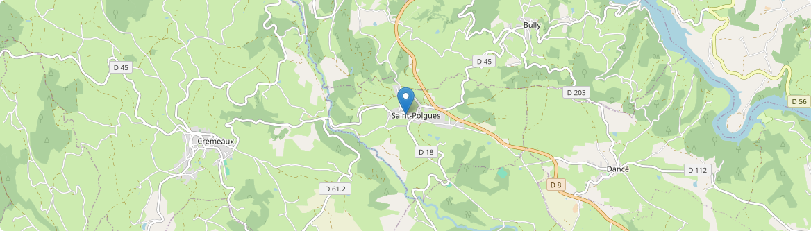 Saint-Polgues - Carte