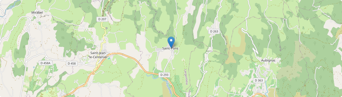 Saint-Pons - Carte