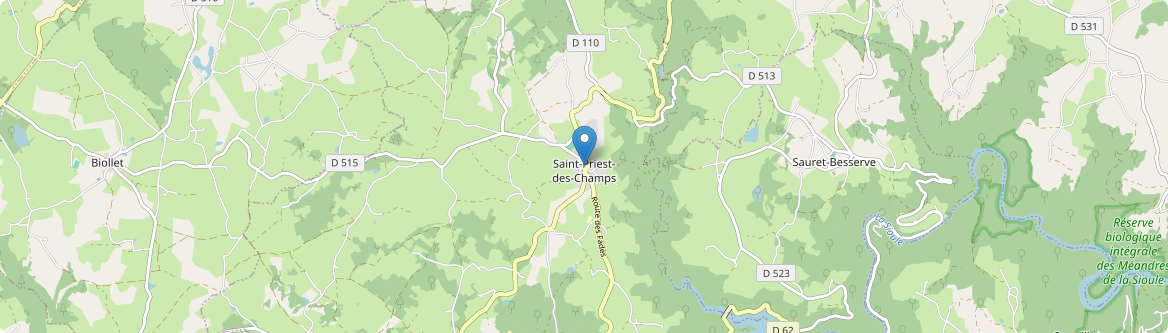 Saint-Priest-des-Champs - Carte