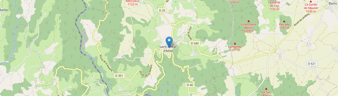 Saint-Privat-d'Allier - Carte