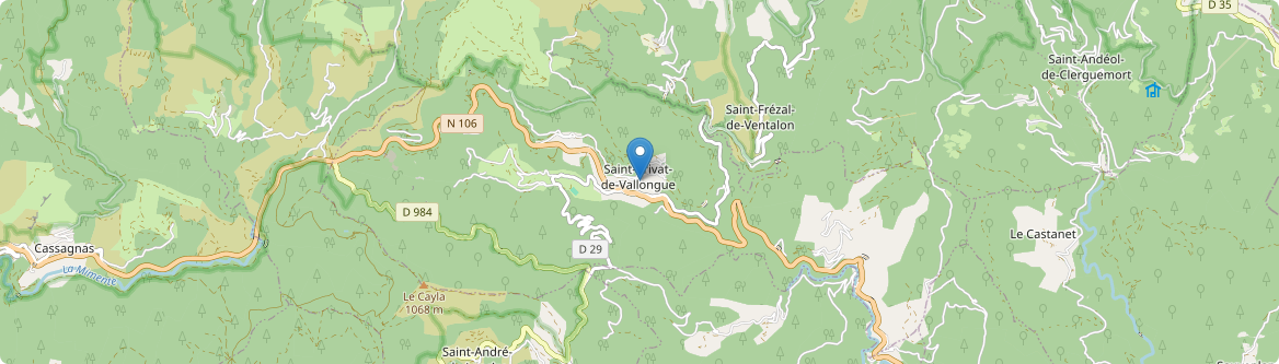 Saint-Privat-de-Vallongue - Carte